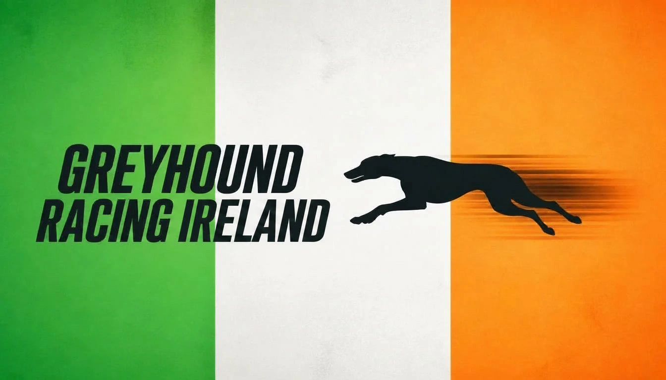 greyhound racing ireland